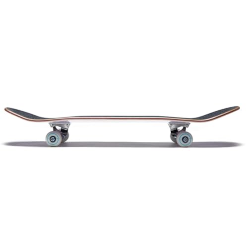 Image of [CCS] Skateboard Complete | Maple Wood | Professional Grade | Fully Assembled with Skate Tool & Stickers | Adults, Kids, Teens, Youth | Boys & Girls
