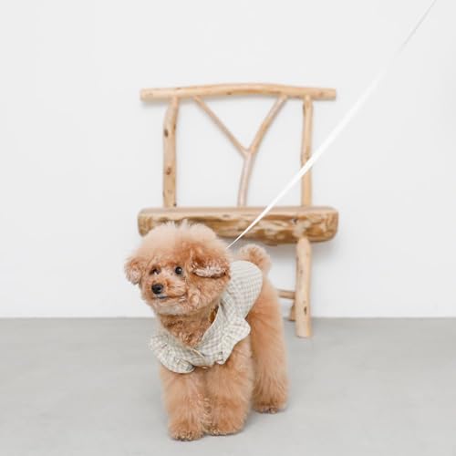 moncheri（モンシェリ）『ウォーキングロングリード』