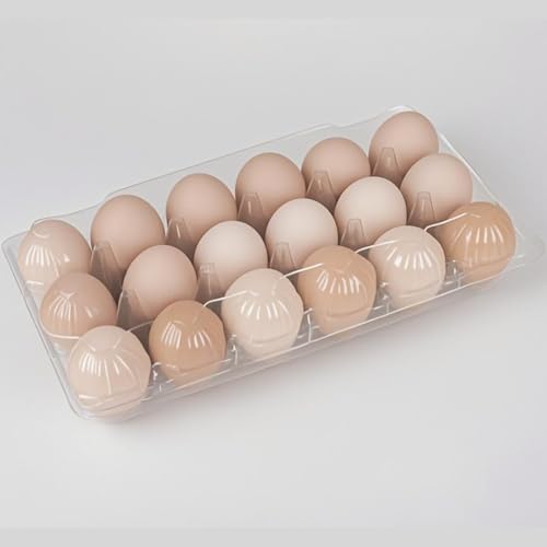 FUailiYY 60 pc Plastic Bulk EggCarton 18 cone egg carton cheap bulk Suitable For Storing Egg in Farmers Markets Supermarkets Kitchens(3 * 6)