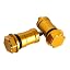 gold2