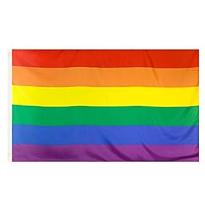 TRIXES Regenboogvlag Gay Pride – Grote Binnen Buiten LGBT – Festival Diversiteitsviering 5ft x 3ft
