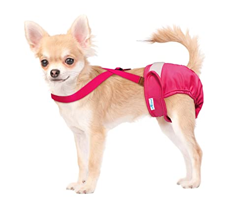 Image of PAW Inspired Dog Diaper Suspenders, Pink, X-Small /Small | Stretchy Adjustable Straps, Velcro Closures, For Female and Male Disposable and Washable Diapers