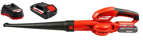 Grizzly ALB 2020 - Soplador de hojas con batería de 20 V y cargador rápido