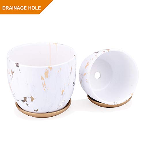 8-Inch-Ceramic-Plant-pots-Set-of-2-8-Inch-7-Inch-Modern-Flower-Planter-Gold-Marble-Gardening-Pots-with-Drainage-Hole-and-Saucer-for-Outdoor-Indoor-Yard-Garden-Home-Office-Decoration 8 Inch Ceramic Plant pots Set of 2 8 Inch 7 Inch Modern Flower Planter Gold Marble Gardening Pots with Drainage Hole and Saucer for Outdoor Indoor Yard Garden Home Office Decoration