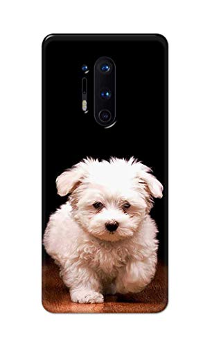Image of PRINTFIDAA� Printed Hard Back Cover Case for OnePlus 8 Pro Back Cover (Puppy Dog) -2808