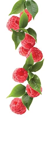 Image of 1883 Sugar Free Raspberry Syrup for Drinks, Made in France, 1 Liter Plastic Bottle