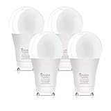 Simba Lighting LED GU24 A19 Light Bulb 12W 75W to 100W Replacement (4 Pack) 120V 2 Prong Twist and Lock Base for Ceiling Lights, Pendants, Outdoor Lanterns, Floor Lamps, Non-Dimmable, 5000K Daylight