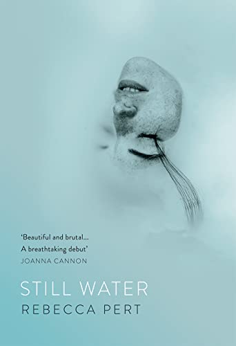 Still Water view 2