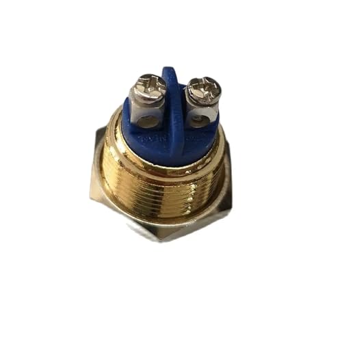 Interruptor pulsador de 16 mm 36V 2A con terminal de tornillo dorado para paneles eléctricos 3