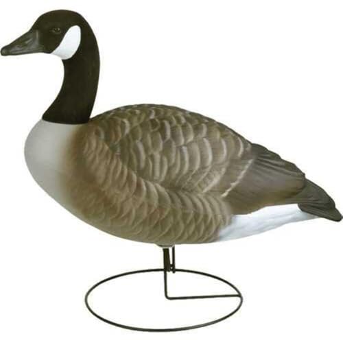 Flambeau Outdoors Waterfowl Decoys & Accessories 8990FBU Storm Front 2 Fullbody Canada Goose Field Decoy - 6 Pack