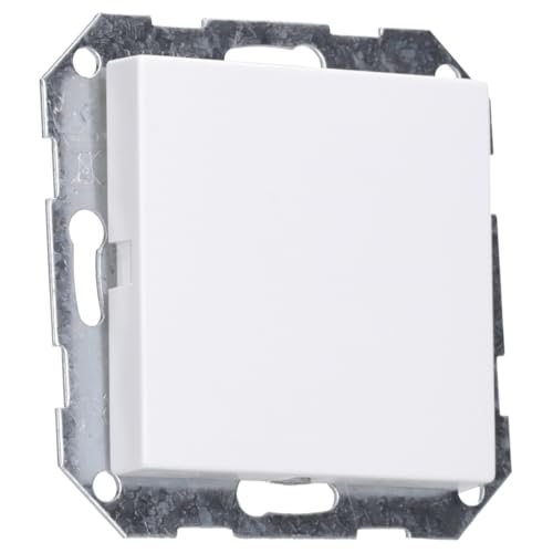 GIRA 026827 Blindabdeckung mit Tragring System 55 Reinweiß seidenmatt