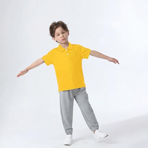 Image of Boy Polo Shirt Pique School Uniform Shirt for Kid Golf Top Youth Boy 5-14Y
