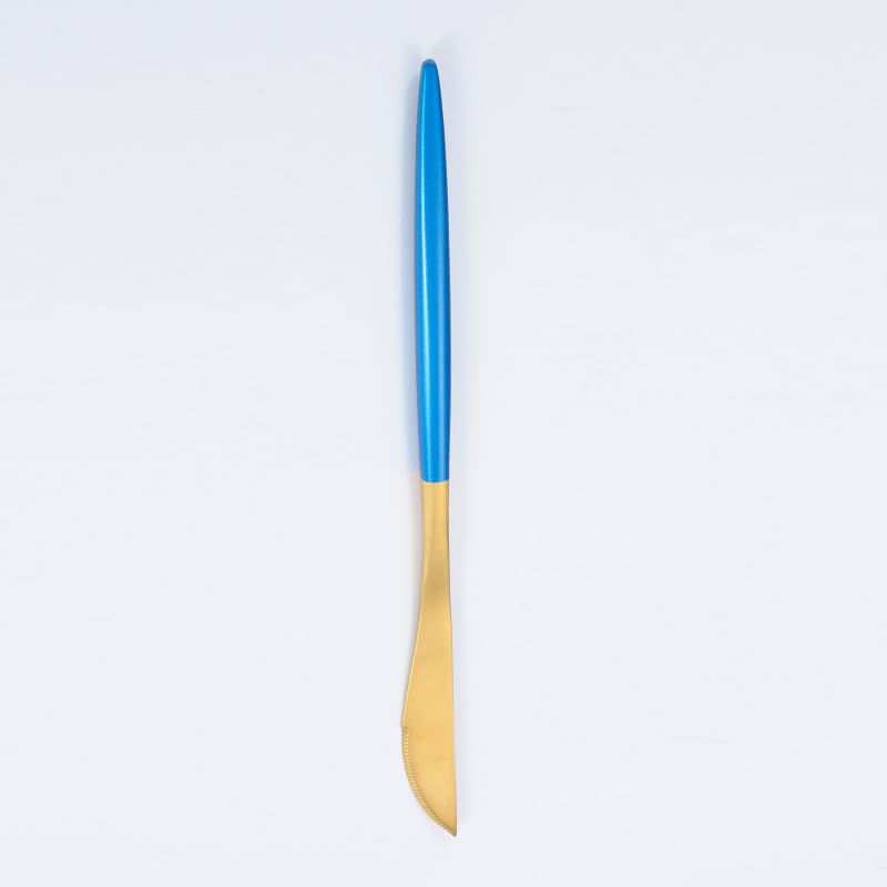 Nvzi 4Pcs Stainless Steel Dinner Knives Knives for Home Restaurant Hotel-Gond Blue