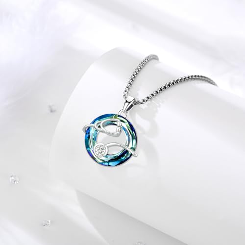 Stethoscope Nurse/Doctors Necklace for Women Sterling Silver Stethoscope Cross RN Caduceus Nurse Jewelry Nursing Doctors Graduation Gift for Medical Student2