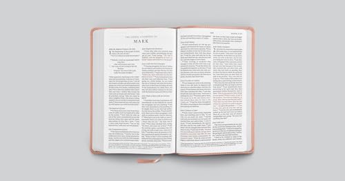 ESV Premium Church Bible, Large Print, Red Letter (TruTone, Pink): Holy Bible, English Standard Version - image 4