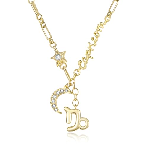 Capricorn Zodiac Necklace for Women Sea Goat...