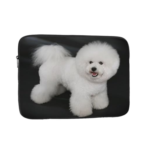 PcP[X Pc[Jo 10 12 13 15 17C`Ή rVt[̔ybg PcP[X m[gp\R ^ubgpc h Vv ʋ ʊw rWlX  킢 y 13 Inch