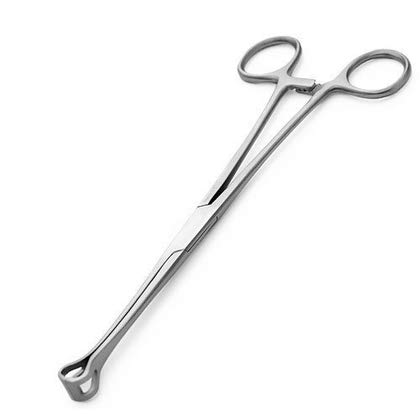 BSIPL Babcock Tissue Forceps 8 Inch Surgical instrument pack of 1 pieces (B08QSHSFR4) Amazon Price History, Amazon Price Tracker