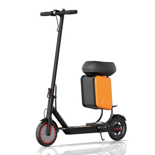 Riuiio Folding Electric Scooter
