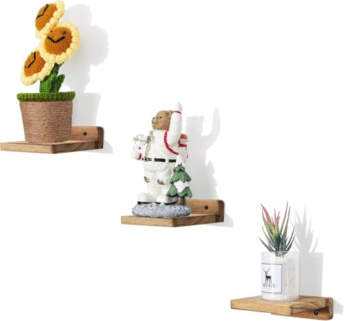 PHOENANCEE Small Floating Shelves 12.7x12.7x4CM Mini Wooden Wall Square Shelf Hanging Shelf Decoration for Small Objects Bedroom Living Room Set of 3(Carbonized Black)