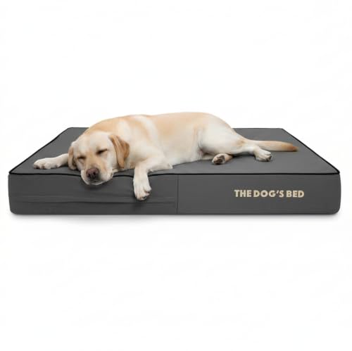The Dog's Bed Orthopedic