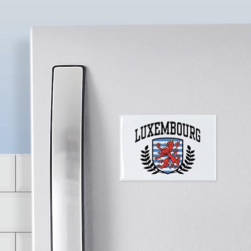 Imán rectangular para refrigerador 3x2 pulgadas miniatura 3