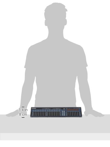 Amazon.co.jp: ヤマハ DM1000シリーズ専用メーターブリッジ