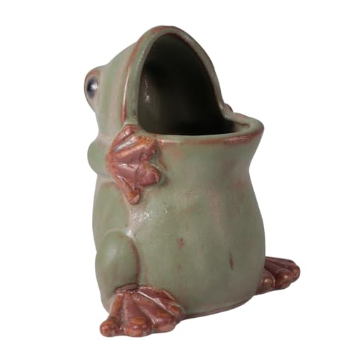 BAZEITFLOW Vintage per Piante Portavaso da Scrivania Resistente e Decorativo per Cactus e Violette Africane per Ufficio e Casa