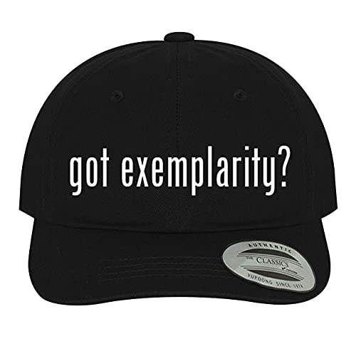 got Exemplarity? - Soft Black Dad Hat Baseball Cap, One Size