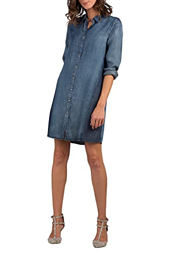 Amazon.com: Standards & Practices: Plus Denim Dress