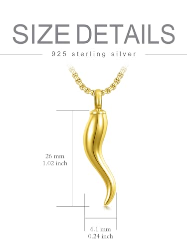 Italian Horn/Hand Urn Necklace for Ashes 925 Sterling Silver Cornicello Cremation Pendant w/Stainless Steel Chain Keepsake Memorial Jewelry for Men Women…2