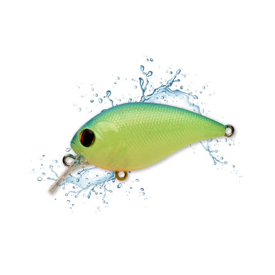 ☆ワンエイト☆ Amazon.co.jp: Payforward One Eight SR PayForward ONE EIGHT