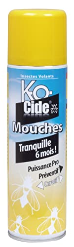 K-Ocide - Laque Anti-Mouches - Dure 6 Mois - Foudroyant - Contre les Invasions - 250 ml