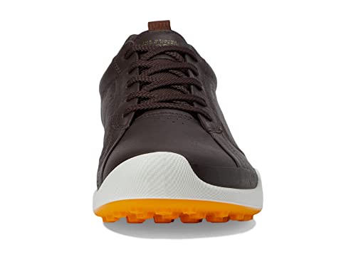 Image of ECCO Biom Hybrid I Hydromax