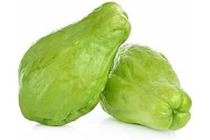 70pcs New Fresh Chayote Vegetable Seeds for Home Garden, Climbing Plants Seeds