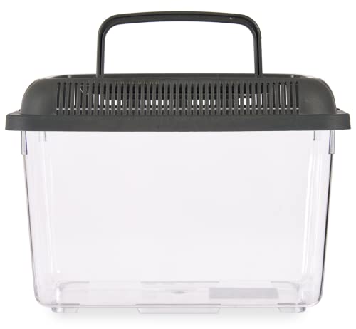 TIENDA EURASIA® Pecera de Plastico Resistente con Asas y Tapa Desmontable - Pecera Rectangular Transparente y Tapa de Color - Medida (24 x 17 cm, Antracita)