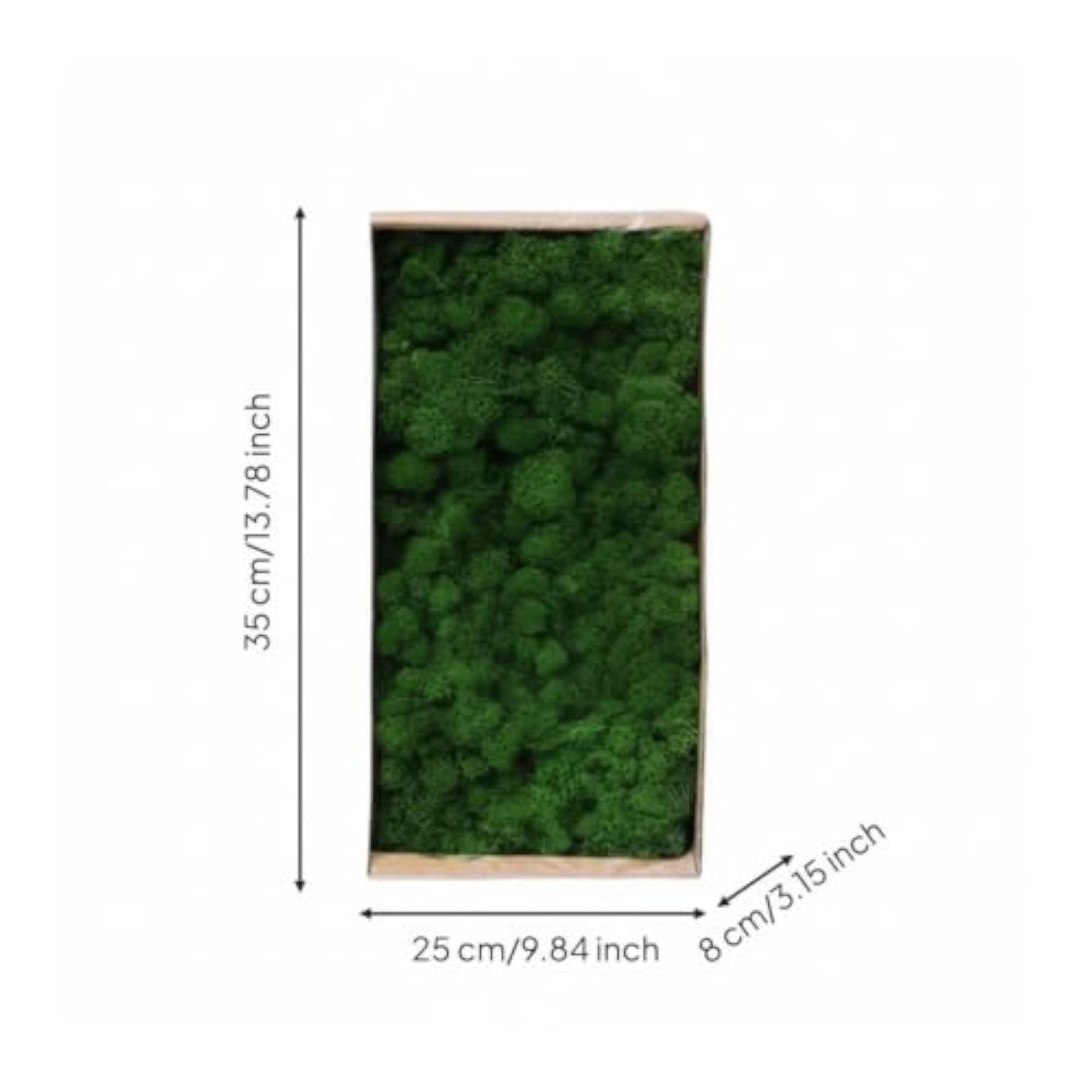 Natural-Looking Preserved Foliage Decorative Plants for Home Decor