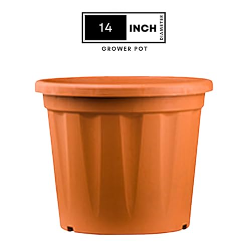 Image of 14 Inch Heavy Duty Plastic Planter | Grower Pot /Garden Pot for Home & Garden (Terracotta) (Pack of 1)