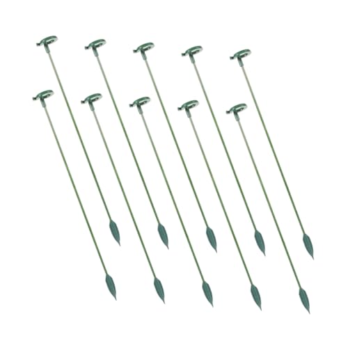 YARNOW 12 Piezas Soporte para suculentas Phalaenopsis Estante de Soporte de orquídeas de Accesorios fijos de Flores Soportes para Anillos de y orquídeas páginas Green
