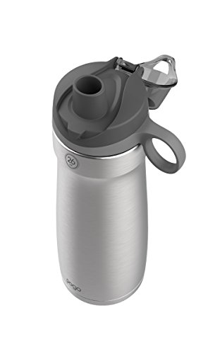 Image of Pogo Vacuum Insulated Stainless Steel Water Bottle with Leak Proof Chug Lid and Silicone Carry Loop - 26oz