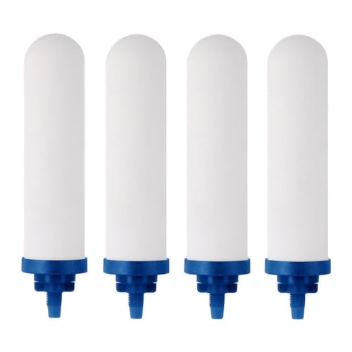 Image of 7 inch Ceramic Fluorine Filter, Replacement Filters for ProOne G2.0 Filters, ProOne Big+ or Big II Countertop Gravity Water Filter System and FACHIOO King Tank Series(Pack of 4)