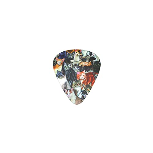 L  fUCM^[sbN guitar pick eBAhbv^ GLM^[/AR[XeBbNM^[/NVbNM^[/x[X̗KɍœK12Zbg