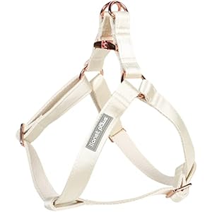 Lionet Paws Dog Harness, No-Pull Adjustable Silk Nylon Webbing Pet Harness with Metal Buckle for Small Dogs Easy Walking, White, XS