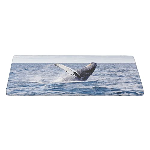 Nappe rectangulaire imprimée baleine tueuse housse table camping