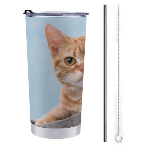 L   XeX}OJbv |[^u 600ml ۗ ۉ Wt ^u[ L d\ S ڂȂRbv sԗp