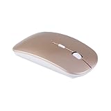 Souris - technologie avancée, avec une distance de transmission de 10 à 15 mètres, souris d'ordinateur