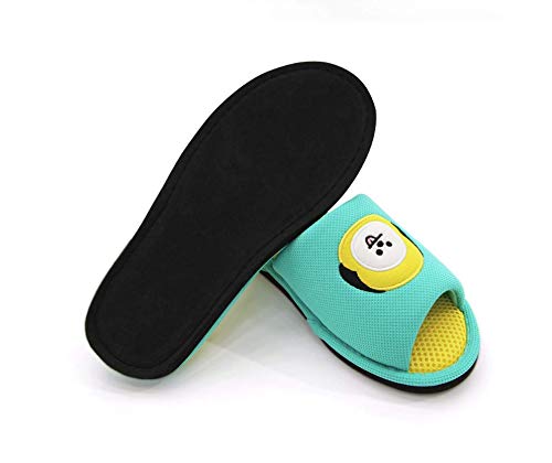 Buy BT21 Official Soft Mesh Indoor 
