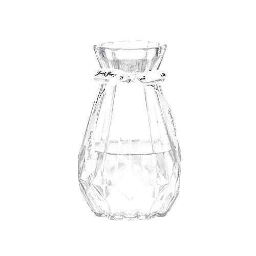 SwPotato 花瓶 一輪挿しガラスフラワーベース ガラス製 花器 透明 ミニ花器 高さ18CM、透明色