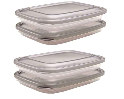 Top Labo Storage Containers, Set of 2, Microwave, Thin, 16.9 fl oz (500 ml), Gray, Set of 2, Made in Japan