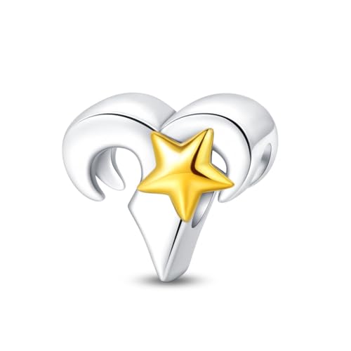 LMLMECREA Ciondolo con segno zodiacale in argento Sterling 925, 12 ciondoli zodiacali con stella gialla, per braccialetti e collane, Argento sterling, Zirconia cubica